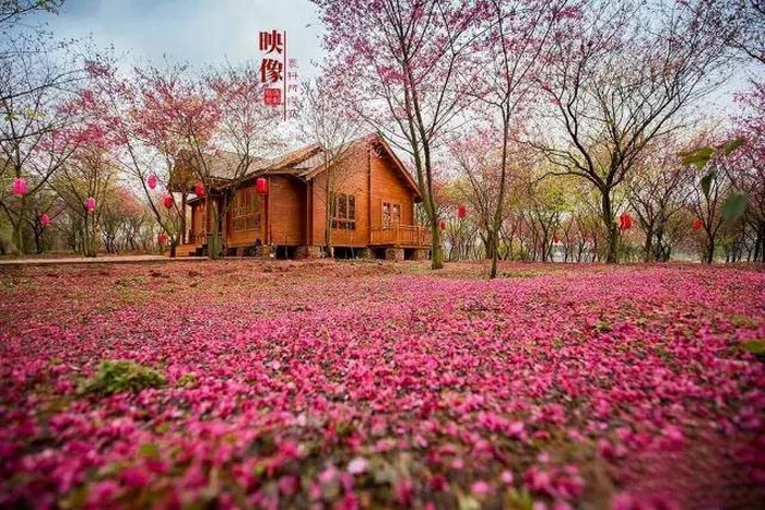 郴州旅游王仙嶺景區(qū)門票